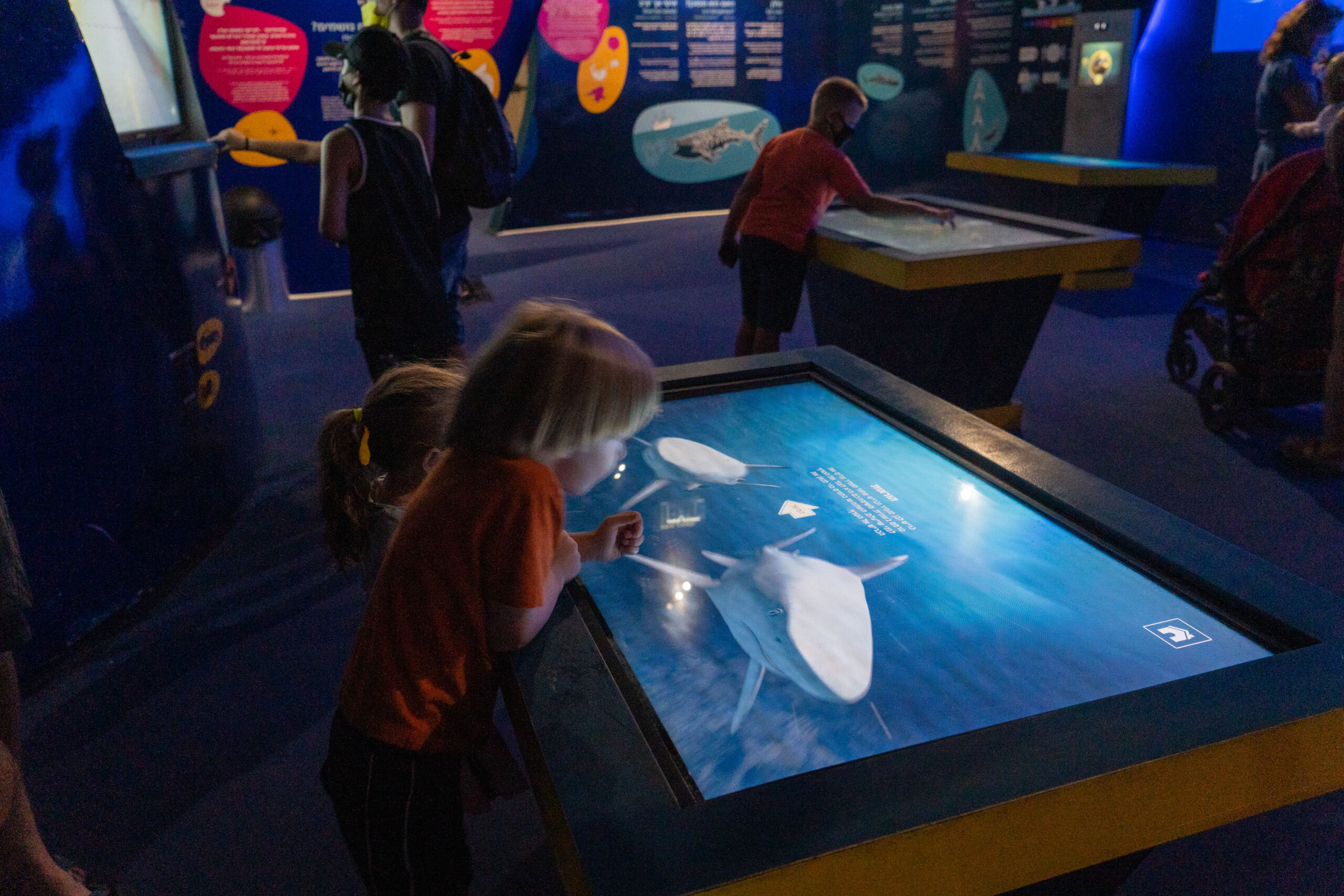 ילדים משחקים במשחק דיגיטלי במצפה התת ימי באילת